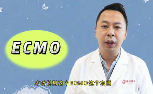 什么是ECMO？