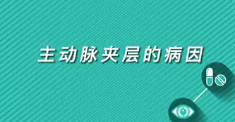 【名醫(yī)面對(duì)面之心臟100問】主動(dòng)脈夾層的病因