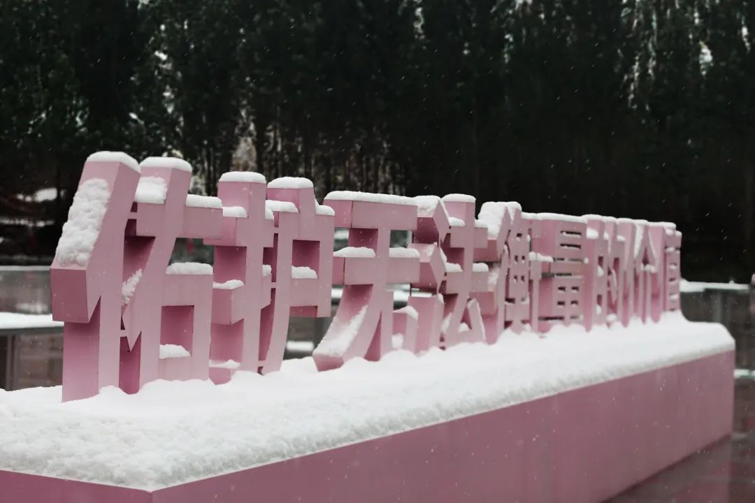 冬日限定｜國醫(yī)初雪